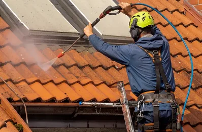 Démoussage et hydrofuge de toiture à Seillonnaz